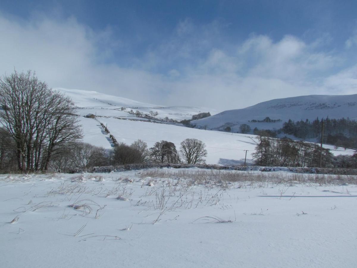 Wild Valley Bunkhouse Llanrhaeadr-ym-Mochnant Esterno foto