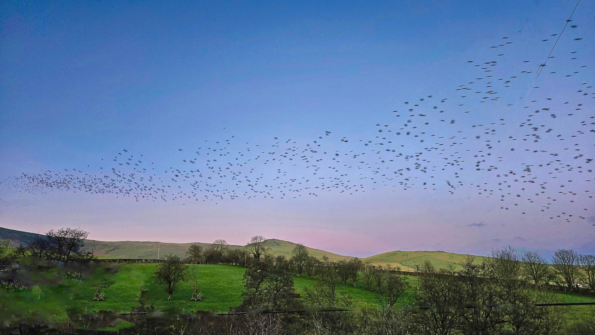Wild Valley Bunkhouse Llanrhaeadr-ym-Mochnant Esterno foto
